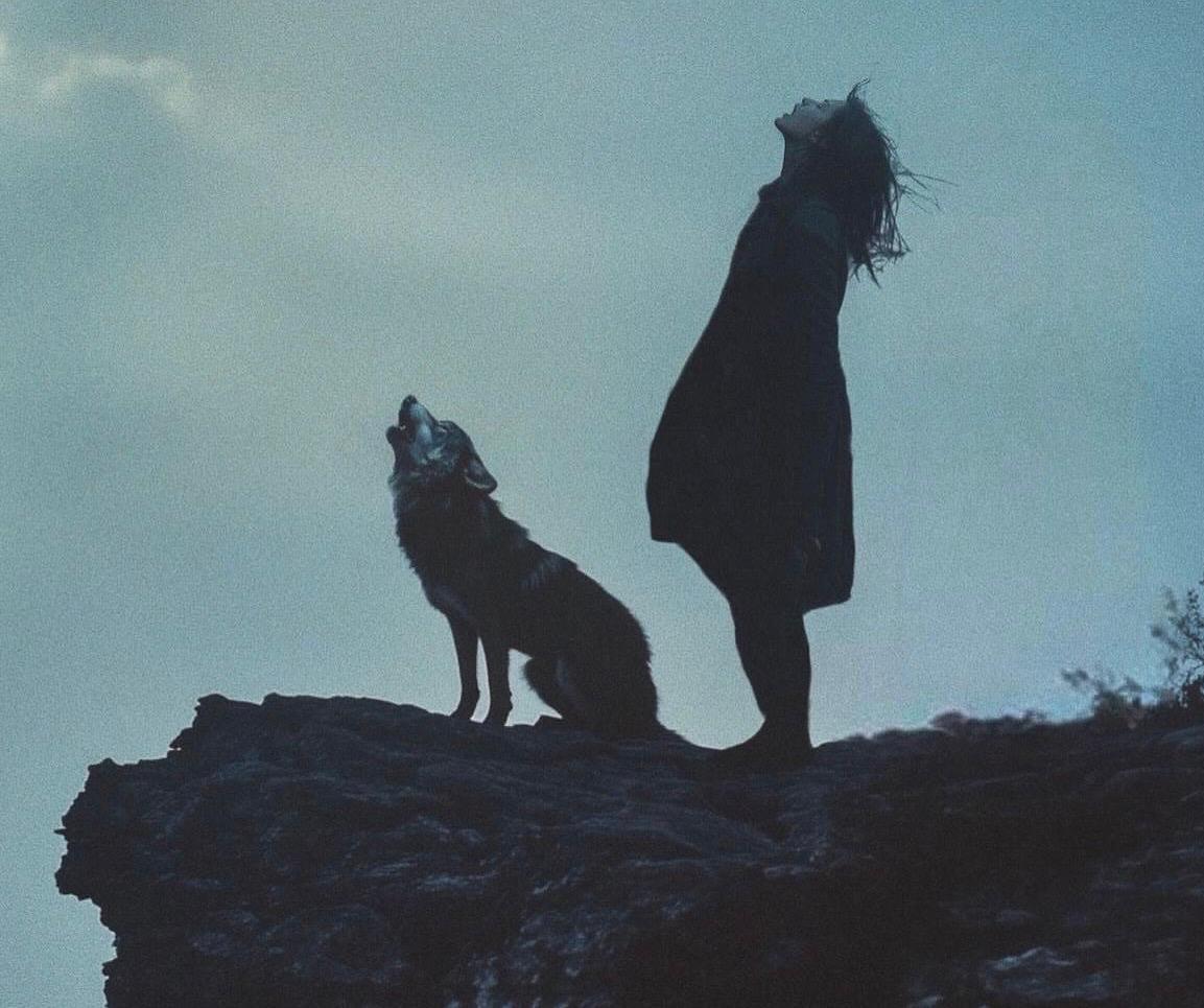 Miss Wolf Solutions — Woman and wolf silhouette